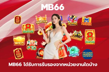 เทคนิค mb66th